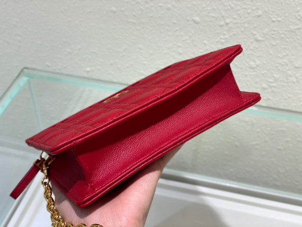 D*or caro zipped pouch with chain