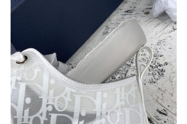 D*or b23 oblique low top sneaker