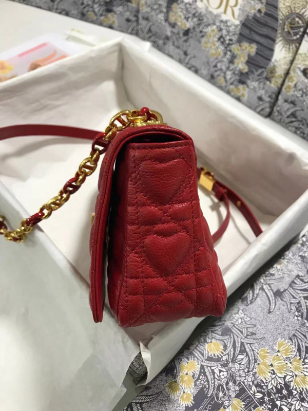 D*or small D*oramour caro bag