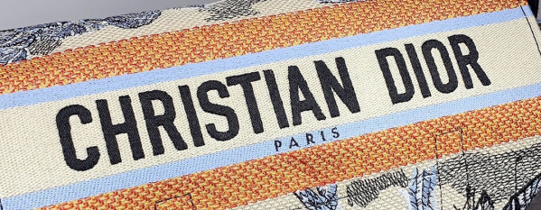 D*or oblique D*orcamp messenger bag