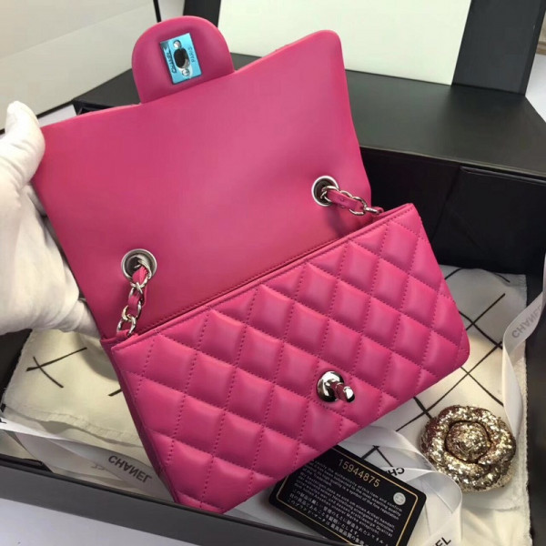 CL Flap Bag Lambskin 20CM