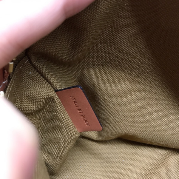 Ce**e small camera bag in triomphe canvas