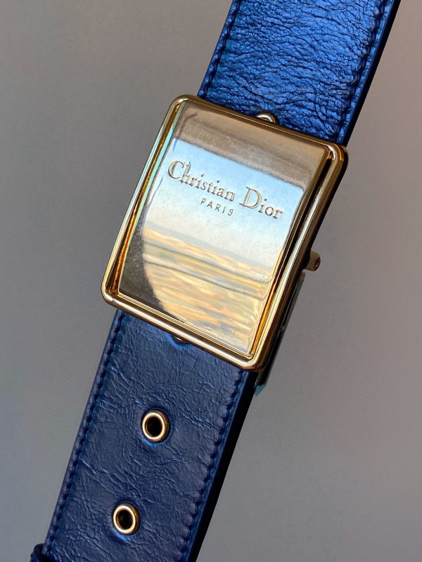 D*or 30 montaigne box bag