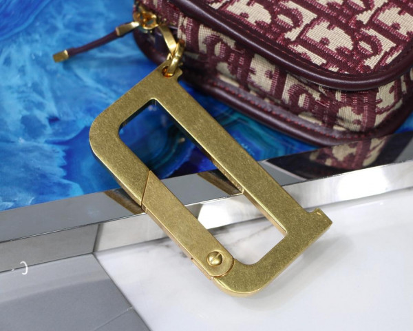 D*or oblique camera bag