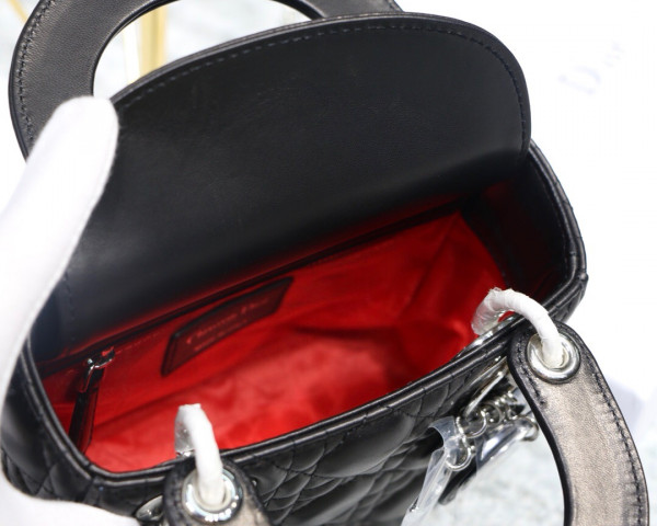 lady D*or mini with lambskin