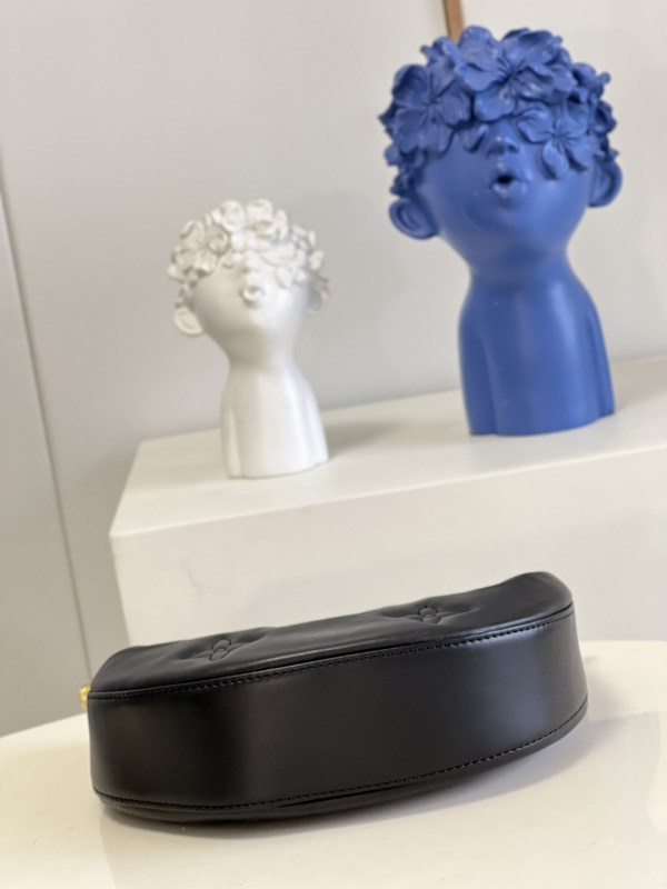 l**is V*t*n over the moon