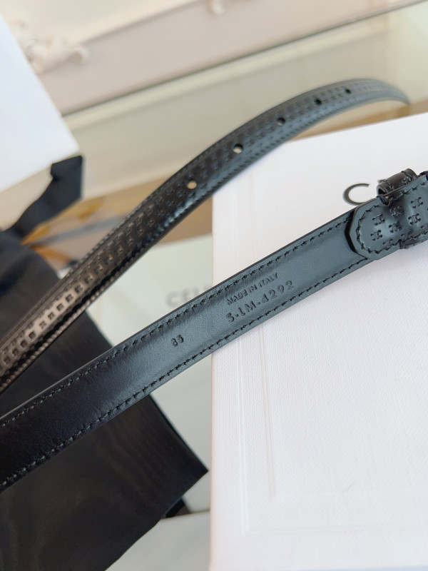 Ce**e belt-gold/silver